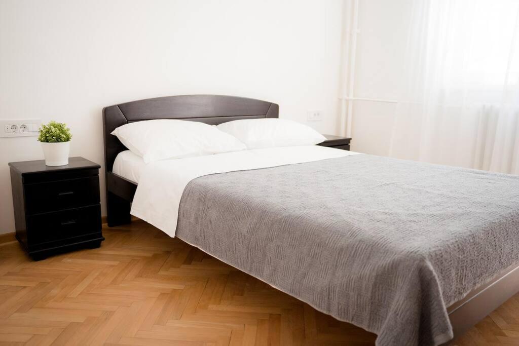 Downtown, Spacious, 2 Bedroom Apartment Belgrad Zewnętrze zdjęcie